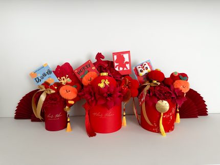 LNY - CNY - chinese new year - chinees nieuw jaar - lunar new year - maan feest - lucky cat - horse - paard - year of the horse - jaar van het paard - firehorse