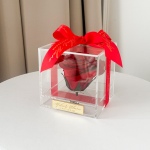 preserved - longlife -eternal - long life - gepreserveerd - gepreserveerde rozen - gepreserveerde bloemen