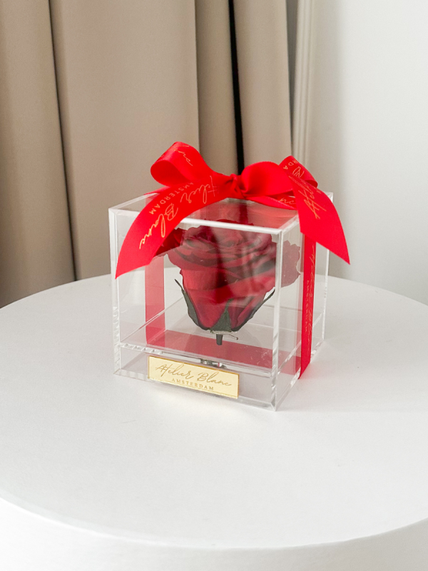 preserved - longlife -eternal - long life - gepreserveerd - gepreserveerde rozen - gepreserveerde bloemen