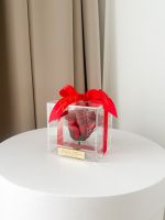 preserved - longlife -eternal - long life - gepreserveerd - gepreserveerde rozen - gepreserveerde bloemen