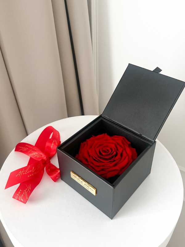 preserved - longlife -eternal - long life - gepreserveerd - gepreserveerde rozen - gepreserveerde bloemen