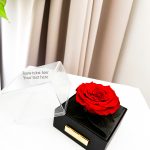 preserved - longlife -eternal - long life - gepreserveerd - gepreserveerde rozen - gepreserveerde bloemen