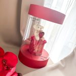 Eternal Rose Window Box Beertje