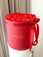 preserved - longlife -eternal - long life - gepreserveerd - gepreserveerde rozen - gepreserveerde bloemen