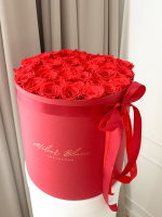 preserved - longlife -eternal - long life - gepreserveerd - gepreserveerde rozen - gepreserveerde bloemen