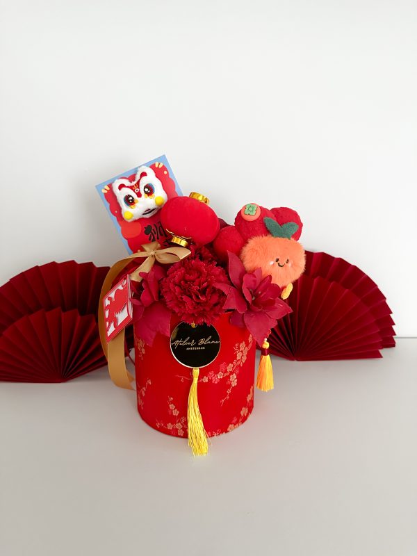 LNY - CNY - chinese new year - chinees nieuw jaar - lunar new year - maan feest - lucky cat - horse - paard - year of the horse - jaar van het paard - firehorse