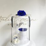 preserved - longlife -eternal - long life - gepreserveerd - gepreserveerde rozen - gepreserveerde bloemen