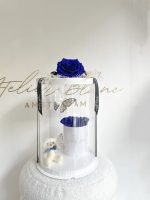 preserved - longlife -eternal - long life - gepreserveerd - gepreserveerde rozen - gepreserveerde bloemen