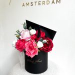 geslaagd - graduated - afgestudeerd