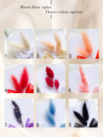 Flower Note Home - Image 2