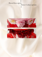 My Valentine Bear Balloon Small - Image 3